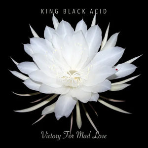 King Black Acid - Victory For Mad Love - New LP Record Store Day 2024 Cavity Search Vinyl - Rock